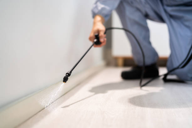 Licensed Mosquito Control service in Woodbury, NJ - Show Me Pest Control