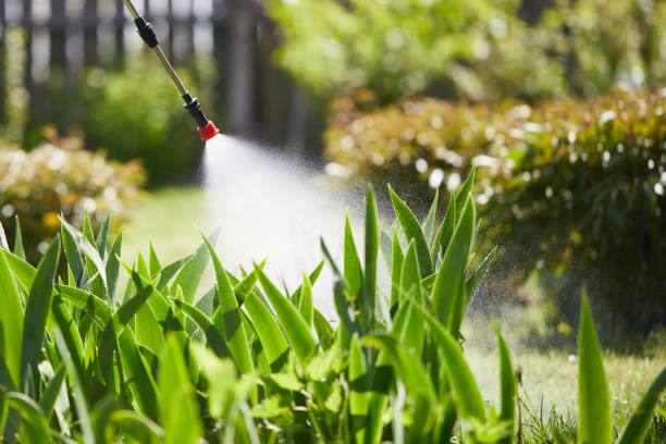 24/7 Emergency Mosquito Control experts in Woodbury, NJ