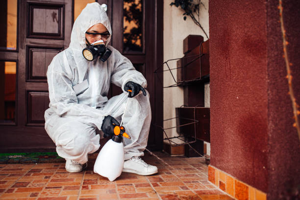 Reliable Mosquito Control contractor in Woodbury, NJ by Show Me Pest Control