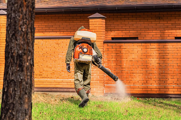 Top rated local Mosquito Control specialists in Woodbury, NJ